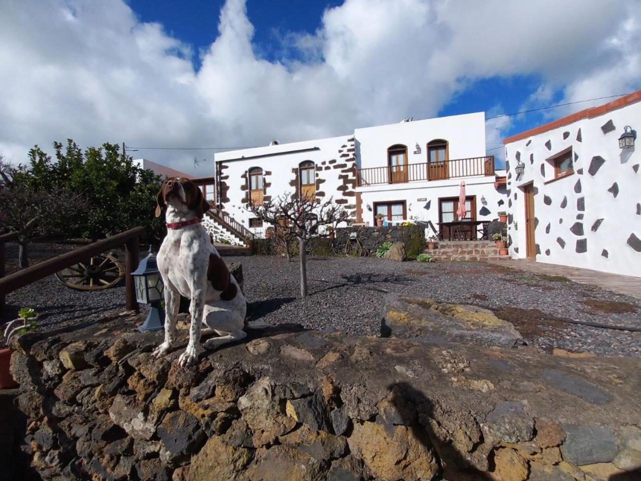 Las Casas Del Abuelito Julian & La Abuela Leonor Isora Exterior foto